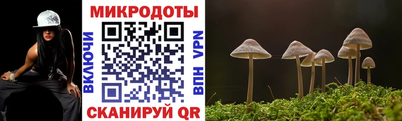 Галлюциногенные грибы Magic Shrooms купить наркотик Амурск